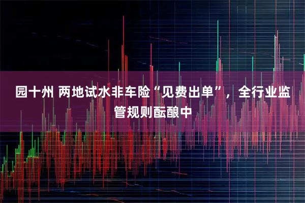 园十州 两地试水非车险“见费出单”，全行业监管规则酝酿中