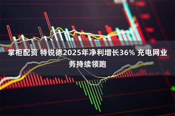掌柜配资 特锐德2025年净利增长36% 充电网业务持续领跑