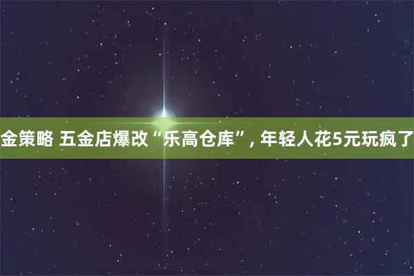 金策略 五金店爆改“乐高仓库”, 年轻人花5元玩疯了