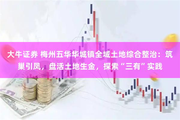 大牛证券 梅州五华华城镇全域土地综合整治：筑巢引凤，盘活土地生金，探索“三有”实践